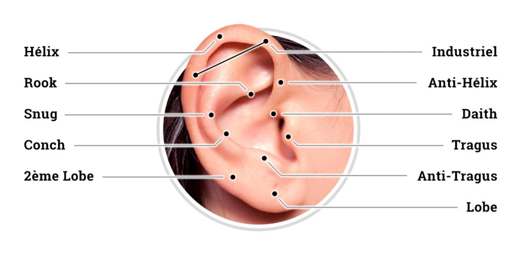 types de piercings oreille