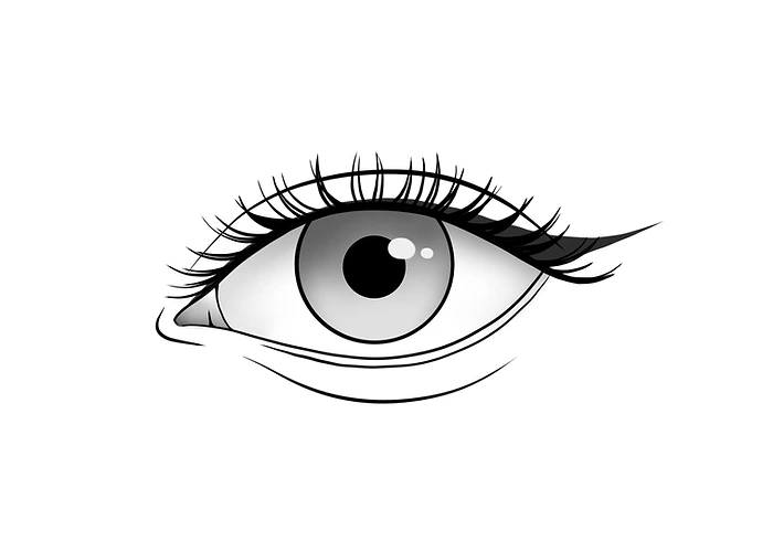 Eye Liner